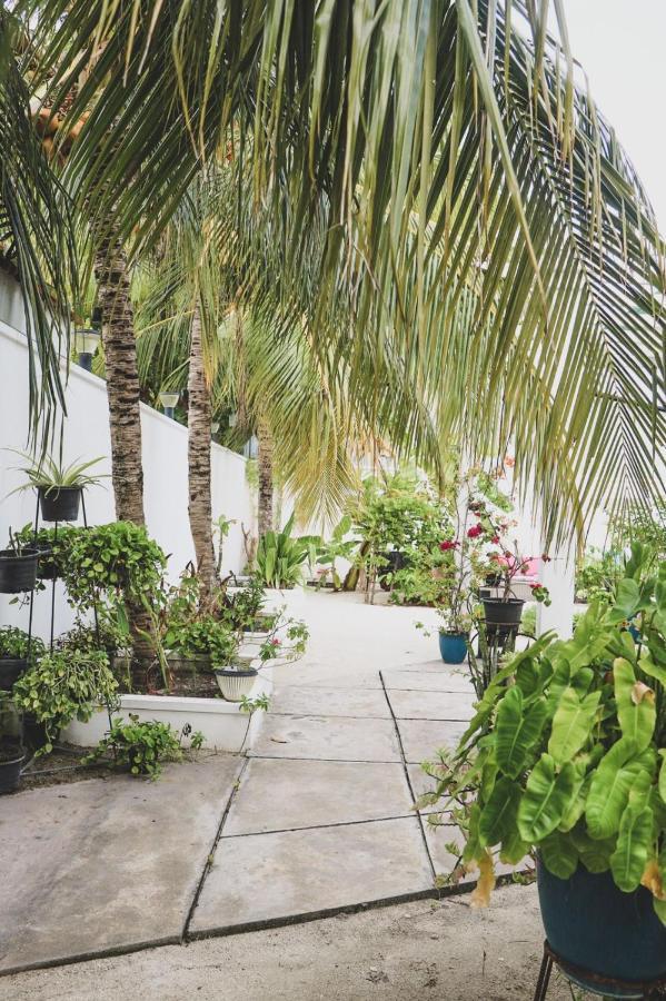 Fiyala Homestay Addu City Екстериор снимка