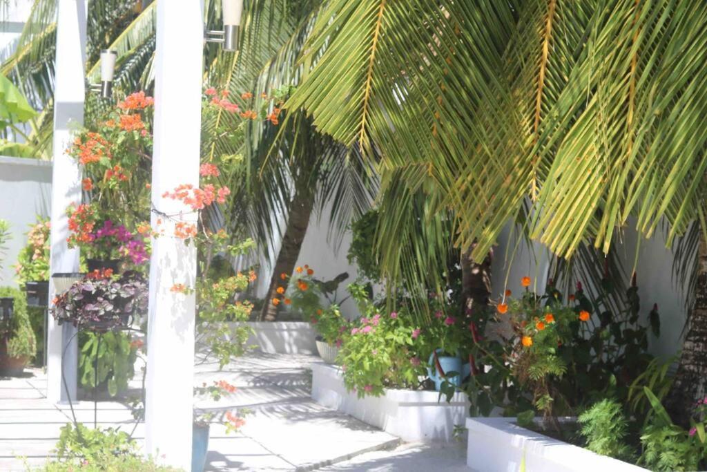 Fiyala Homestay Addu City Екстериор снимка